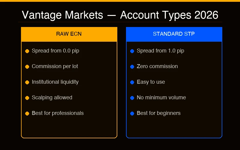 Vantage Markets — Raw ECN vs Standard STP Account Comparison